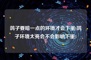 鸽子要暗一点的环境才会下蛋(鸽子环境太亮会不会影响下蛋)