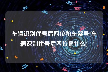 车辆识别代号后四位和车架号(车辆识别代号后四位是什么)