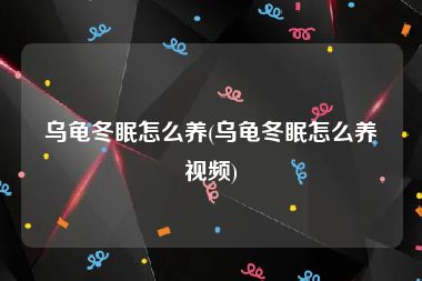 乌龟冬眠怎么养(乌龟冬眠怎么养视频)