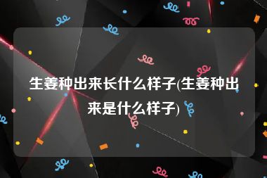 生姜种出来长什么样子(生姜种出来是什么样子)