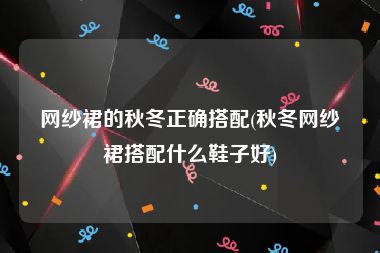 网纱裙的秋冬正确搭配(秋冬网纱裙搭配什么鞋子好)