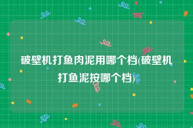 破壁机打鱼肉泥用哪个档(破壁机打鱼泥按哪个档)