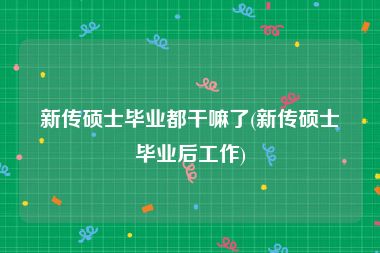 新传硕士毕业都干嘛了(新传硕士毕业后工作)