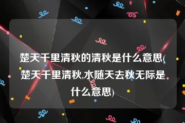 楚天千里清秋的清秋是什么意思(楚天千里清秋,水随天去秋无际是什么意思)