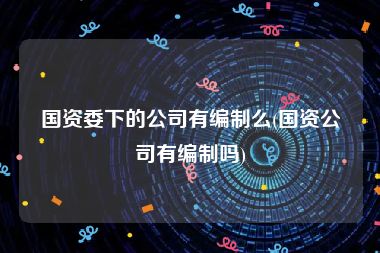 国资委下的公司有编制么(国资公司有编制吗)