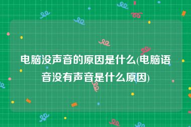 电脑没声音的原因是什么(电脑语音没有声音是什么原因)