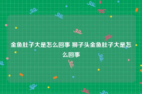 金鱼肚子大是怎么回事 狮子头金鱼肚子大是怎么回事