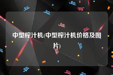 中型榨汁机(中型榨汁机价格及图片)