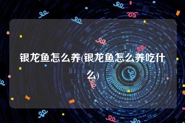 银龙鱼怎么养(银龙鱼怎么养吃什么)