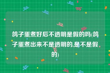 鸽子蛋煮好后不透明是假的吗(鸽子蛋煮出来不是透明的,是不是假的)