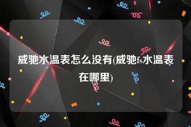 威驰水温表怎么没有(威驰fs水温表在哪里)