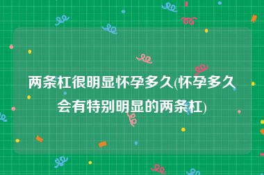 两条杠很明显怀孕多久(怀孕多久会有特别明显的两条杠)