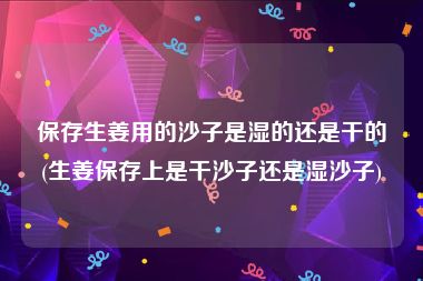 保存生姜用的沙子是湿的还是干的(生姜保存上是干沙子还是湿沙子)