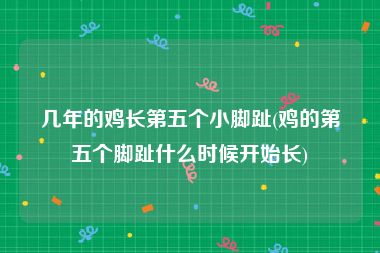 几年的鸡长第五个小脚趾(鸡的第五个脚趾什么时候开始长)