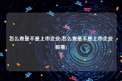 怎么查是不是上市企业(怎么查是不是上市企业股票)