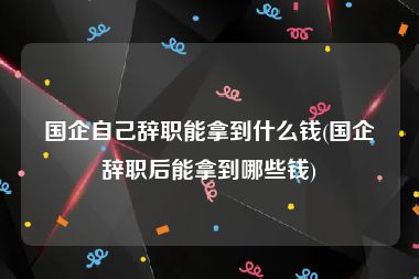 国企自己辞职能拿到什么钱(国企辞职后能拿到哪些钱)